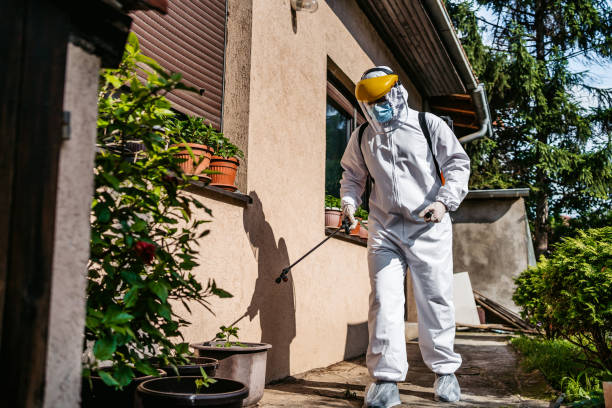 Best Wasp Removal Services  in Harbor Springs, MI