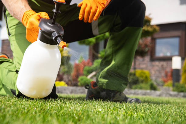 Best Affordable Pest Control Services  in Harbor Springs, MI