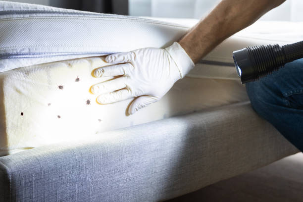Pest Control Cost in Harbor Springs, MI